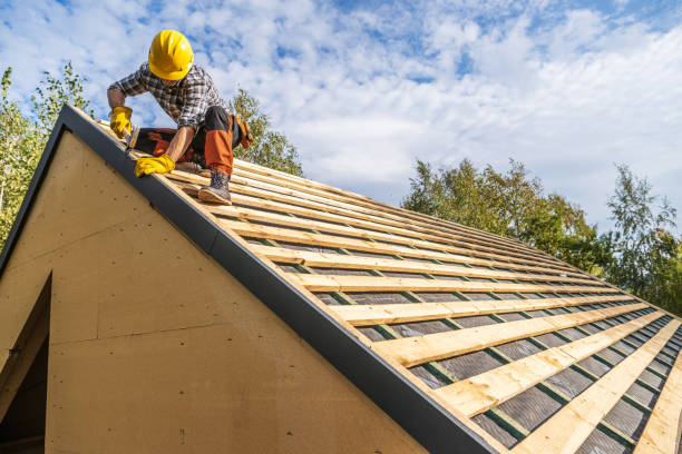 Roof Gutter Cleaning in Dysart, IA